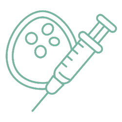 IVF Treatment